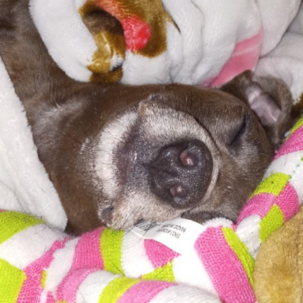 Meet your Posher, Kacey